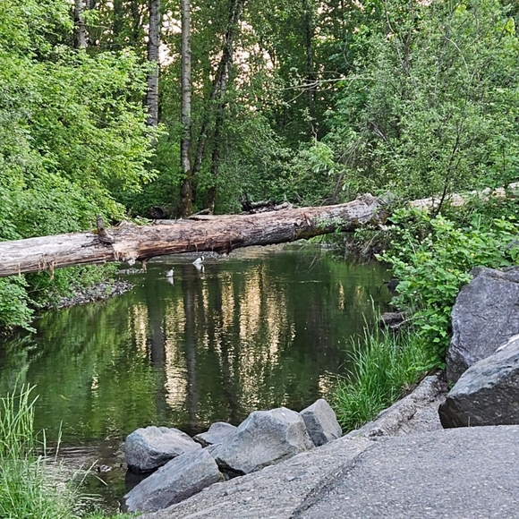 Meet your Posher, Victoria - Picture 2 of 3